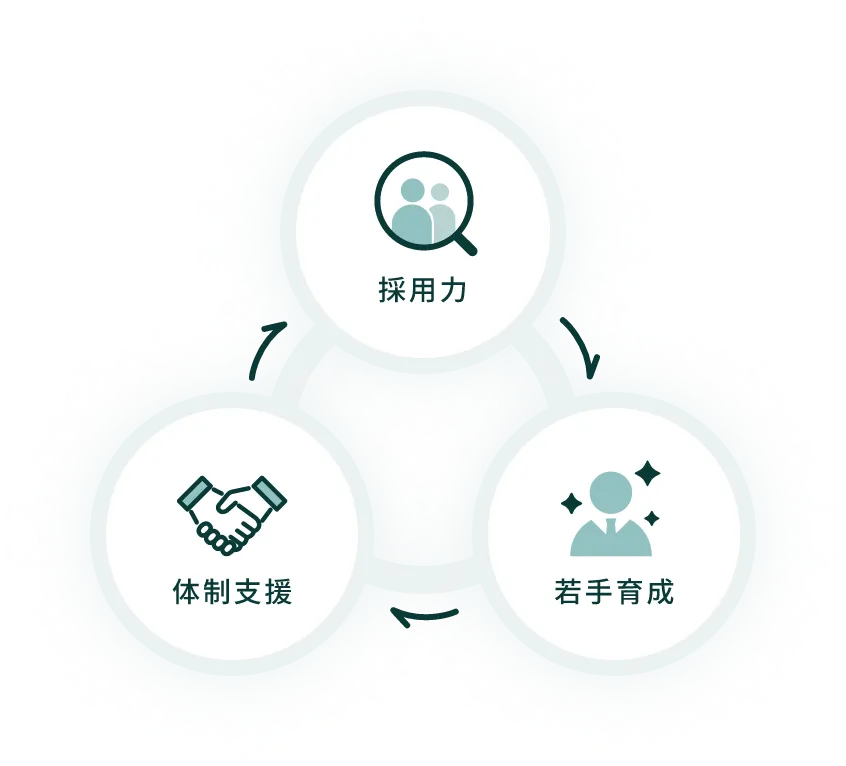 採用力 若手育成 体制支援